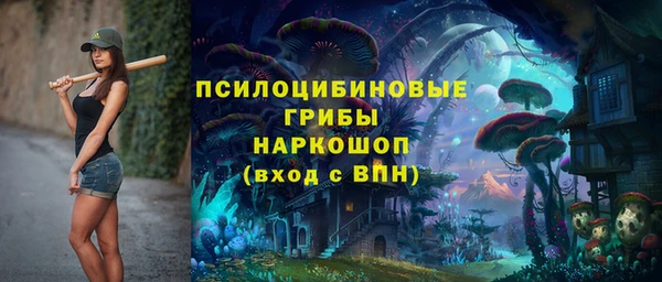 амфетамин Ельня