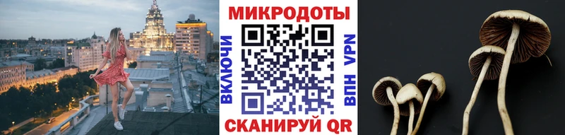 Псилоцибиновые грибы мухоморы  Купить закладки  Спас-Клепики 